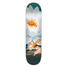 Shape Flip Rabelo Flower Power 8.0