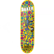 Shape Maple Baker Reynolds Murtos 2 8.0