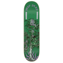 Shape Drop Dead Marfim HT Cultivation Verde  8.25