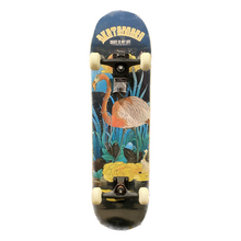 Skate montado Sgodde