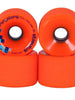 Roda Orangatang Stimulus